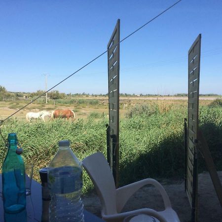Apartament En Camargue Salin-de-Giraud Zewnętrze zdjęcie