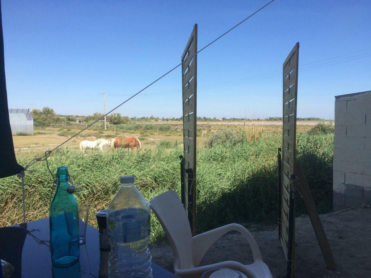 Apartament En Camargue Salin-de-Giraud Zewnętrze zdjęcie