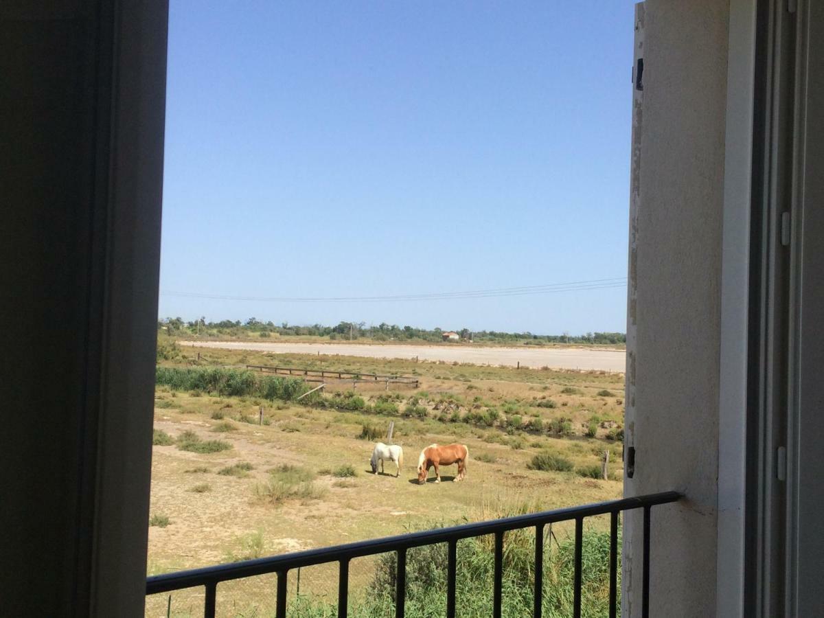 Apartament En Camargue Salin-de-Giraud Zewnętrze zdjęcie