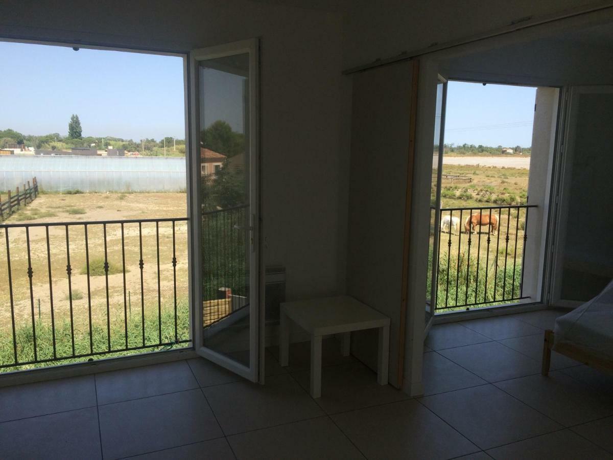 Apartament En Camargue Salin-de-Giraud Zewnętrze zdjęcie