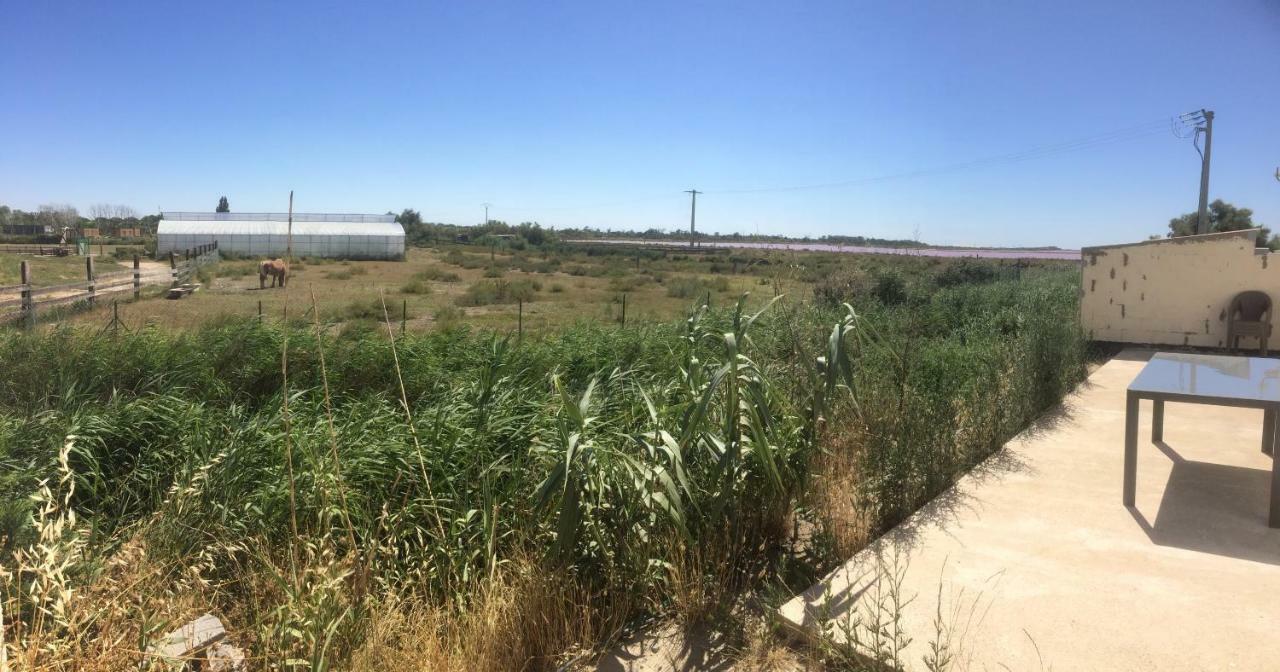 Apartament En Camargue Salin-de-Giraud Zewnętrze zdjęcie