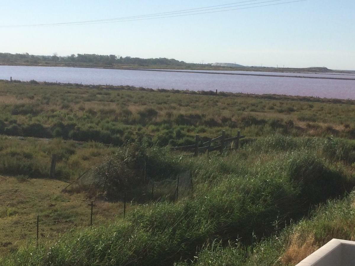 Apartament En Camargue Salin-de-Giraud Zewnętrze zdjęcie