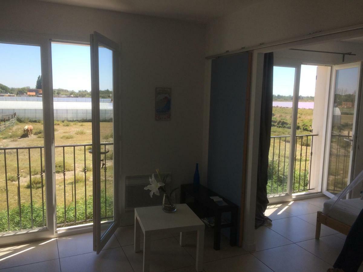 Apartament En Camargue Salin-de-Giraud Zewnętrze zdjęcie