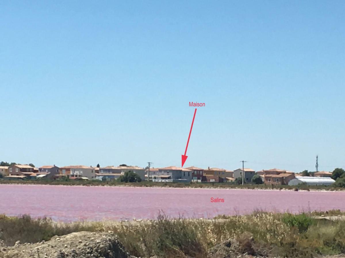 Apartament En Camargue Salin-de-Giraud Zewnętrze zdjęcie